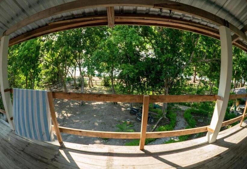 Roctopus Dive Center And Hostel