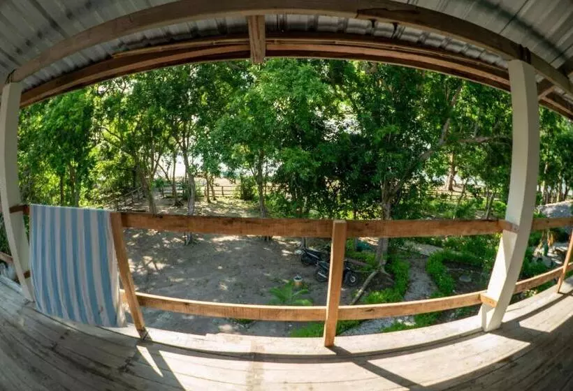 Roctopus Dive Center And Hostel