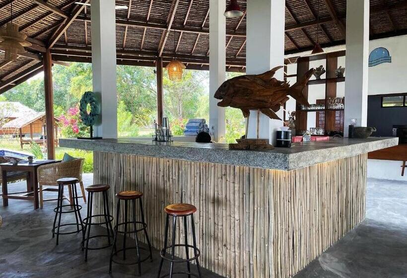 Roctopus Dive Center And Hostel