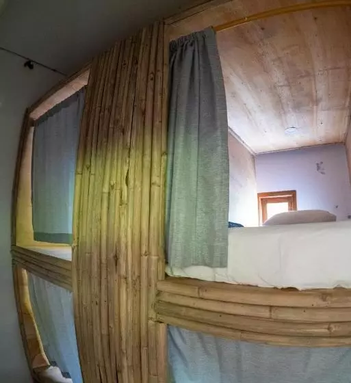 Roctopus Dive Center And Hostel