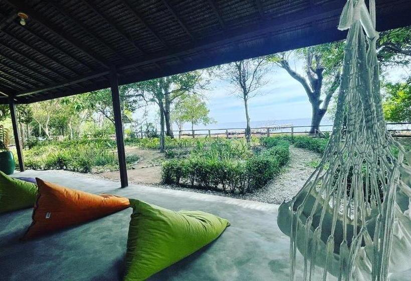 Roctopus Dive Center And Hostel