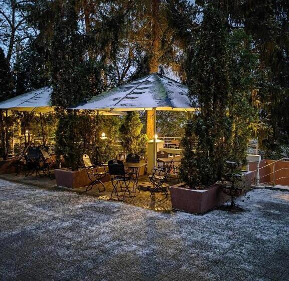 Szálloda Pensiunea Stejarul