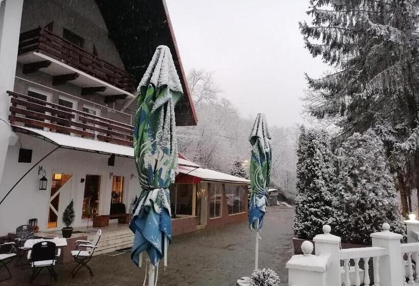 Szálloda Pensiunea Stejarul