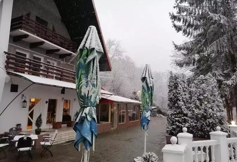ホテル Pensiunea Stejarul