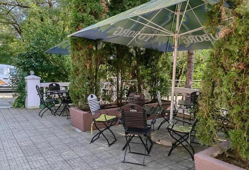 Hotel Pensiunea Stejarul