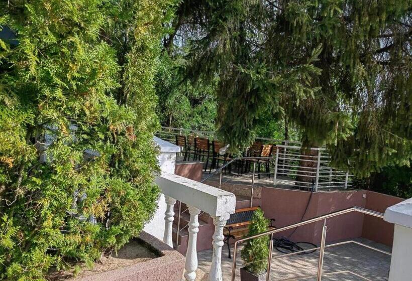 Szálloda Pensiunea Stejarul