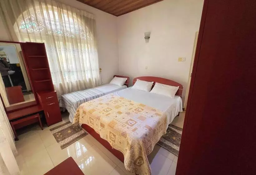 ペンション European B & B