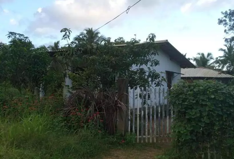 ペンション Peacock Villa
