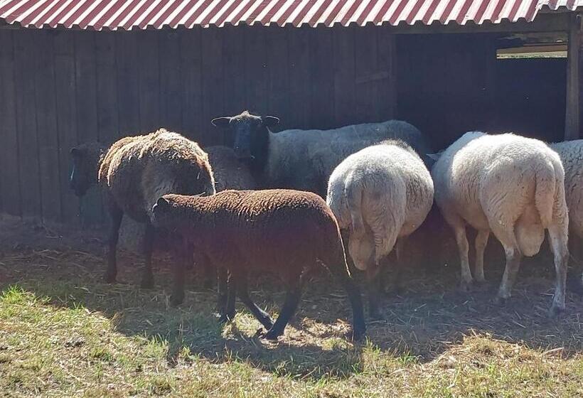 פנסיון Rekreační Středisko Rojana