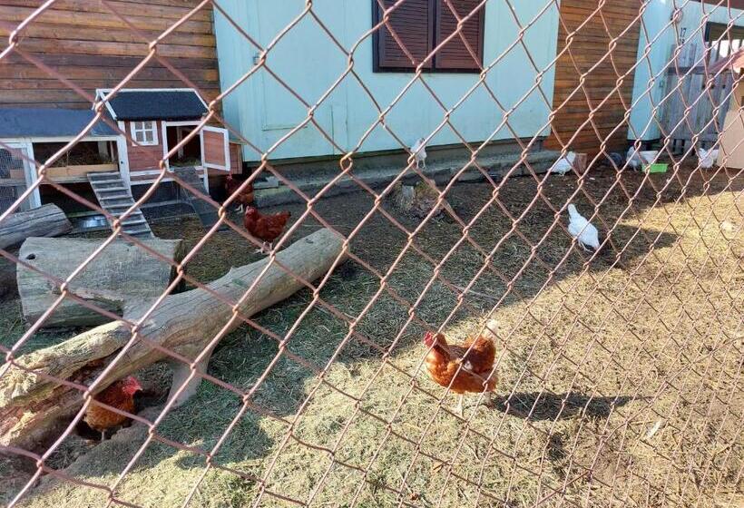 פנסיון Rekreační Středisko Rojana