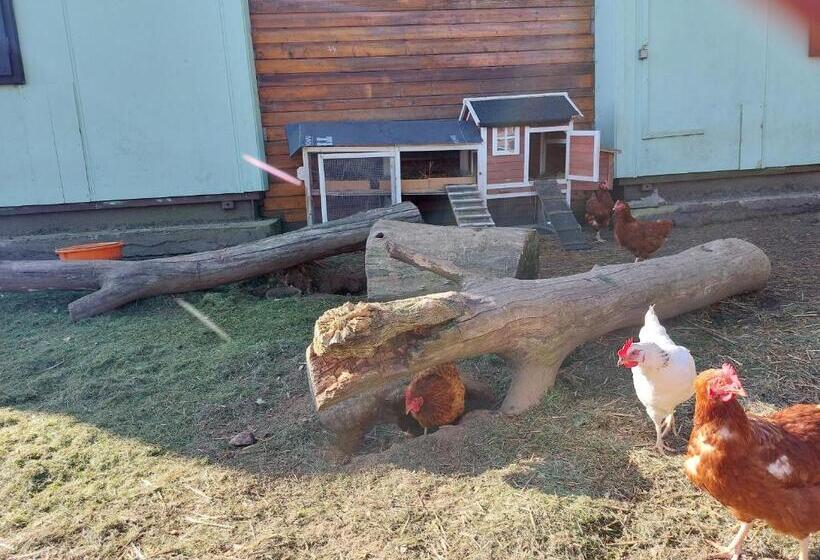 פנסיון Rekreační Středisko Rojana