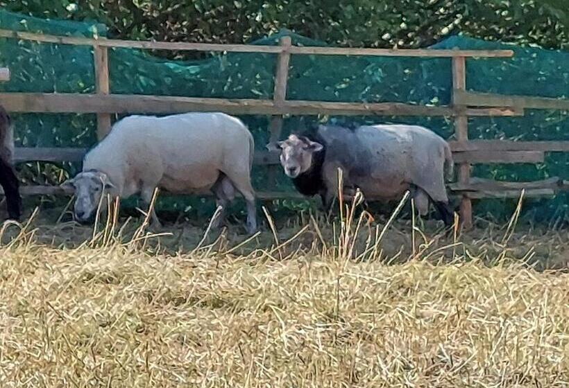 פנסיון Rekreační Středisko Rojana