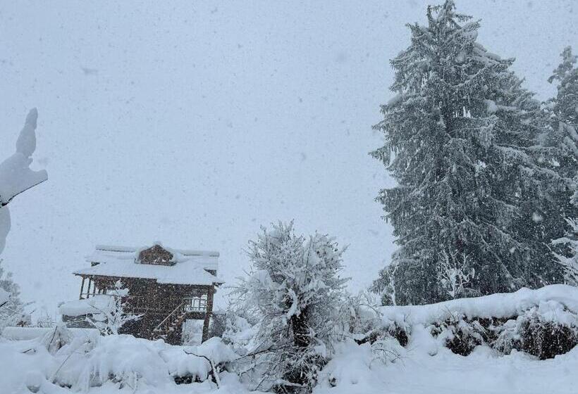 Пансион Woodstock Villa Rooms&entirevilla Tulga