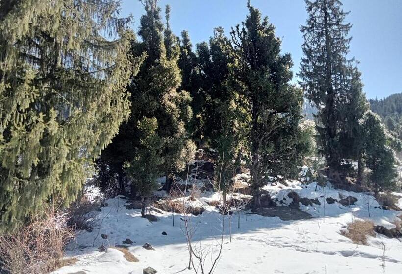 Пансион Woodstock Villa Rooms&entirevilla Tulga