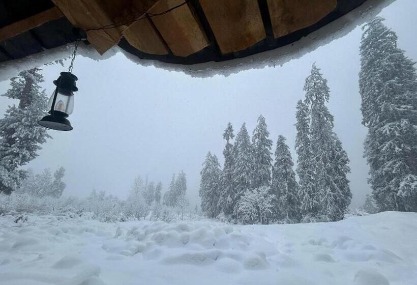 Пансион Woodstock Villa Rooms&entirevilla Tulga