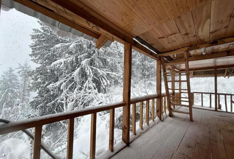 Пансион Woodstock Villa Rooms&entirevilla Tulga