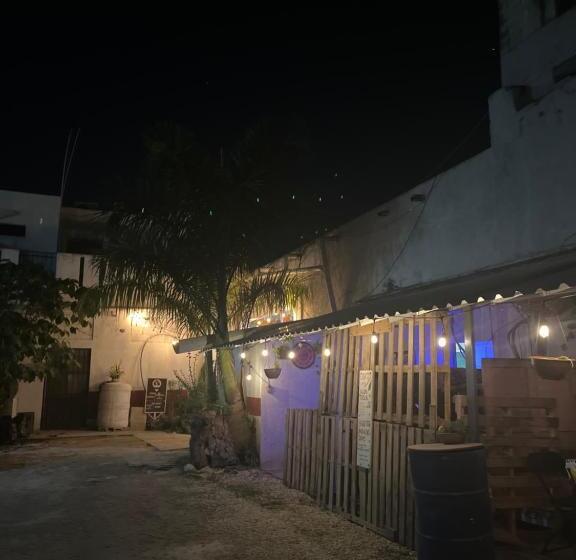 Hostel Xiinbal Habitación Comunitaria