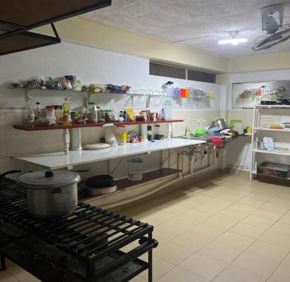 Hostel Xiinbal Habitación Comunitaria