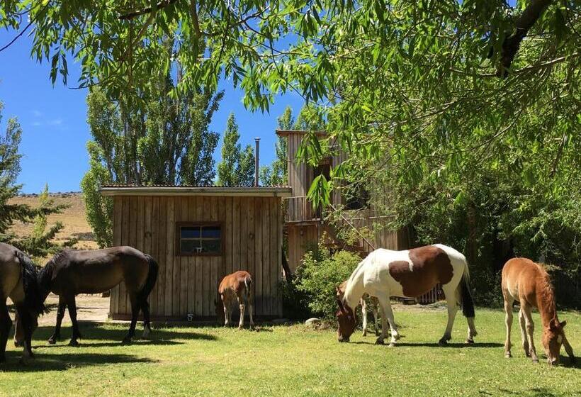 ホテル Estancia Santa Thelma