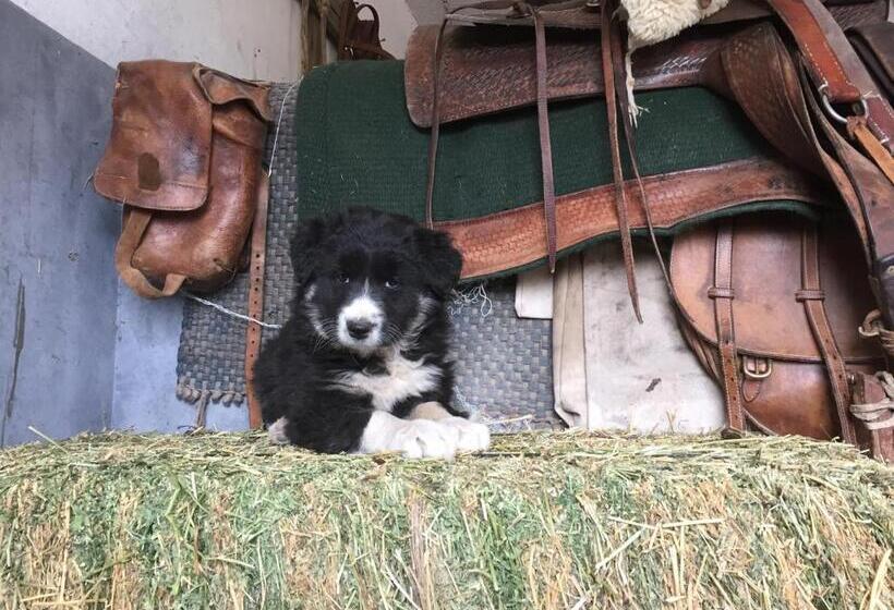 ホテル Estancia Santa Thelma