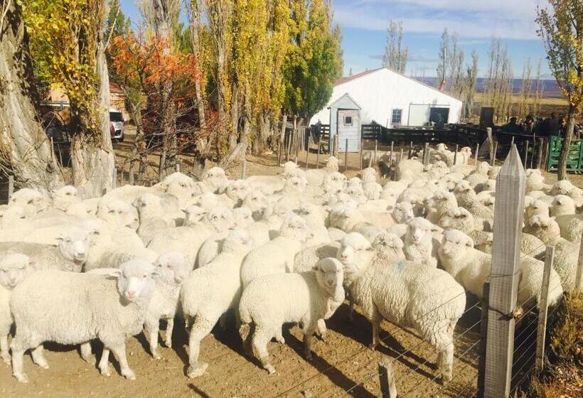 ホテル Estancia Santa Thelma