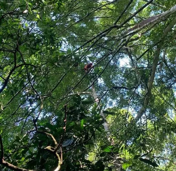 Majatalo Orchid Bugalows