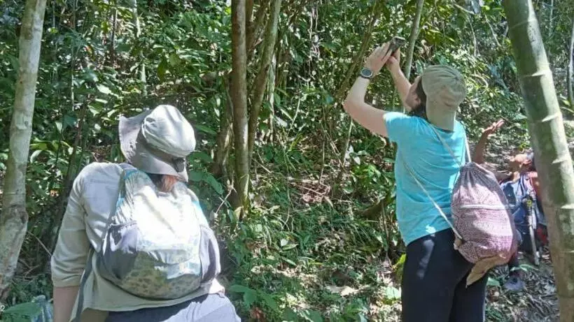 Majatalo Orchid Bugalows