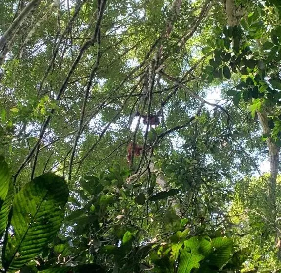 Majatalo Orchid Bugalows