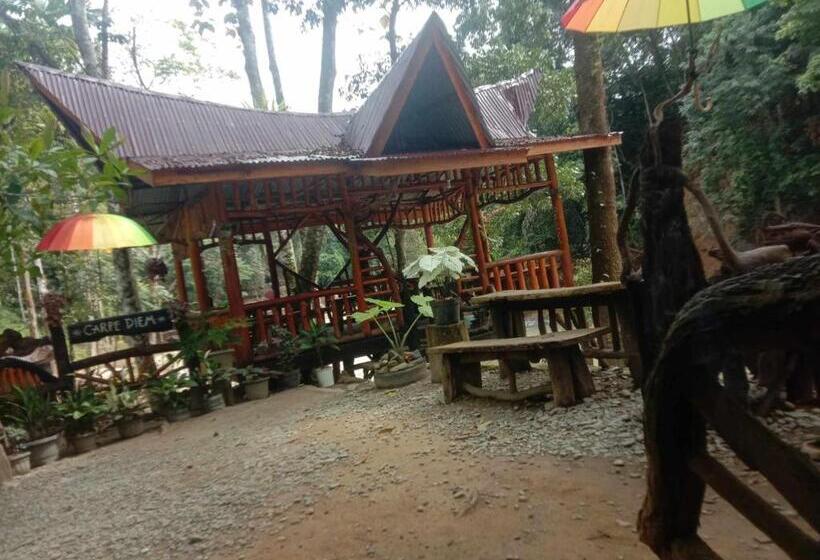 펜션 Orchid Bugalows