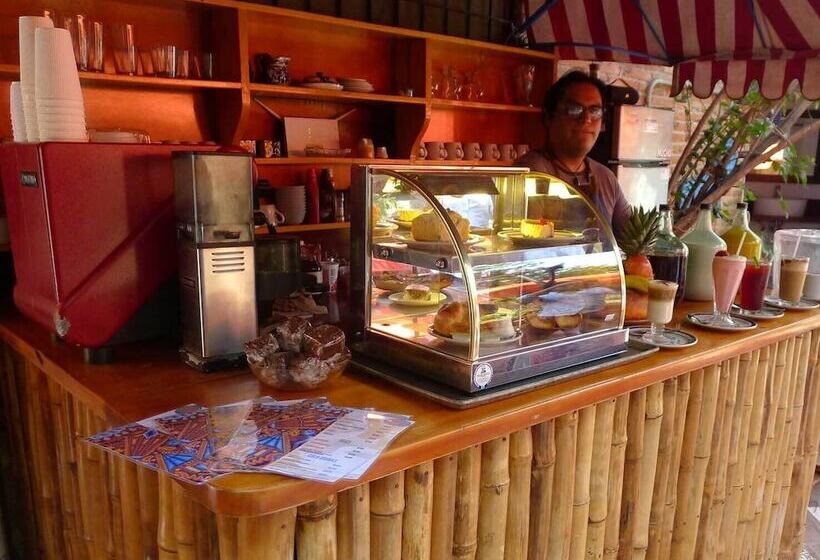 The Octopus S Garden Hostel