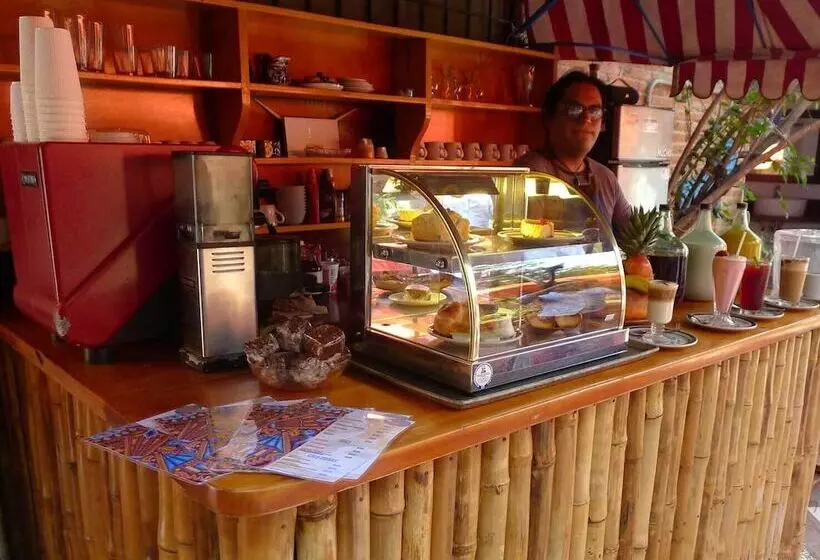 The Octopus S Garden Hostel