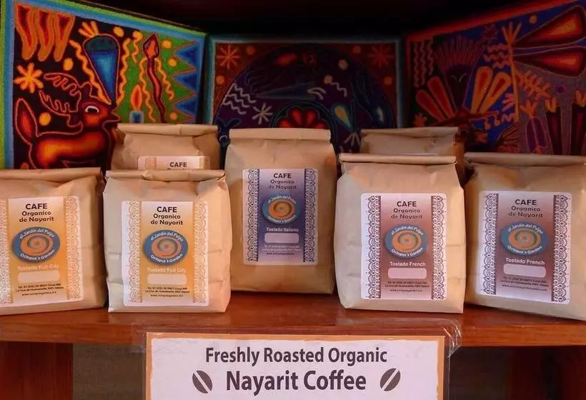 The Octopus S Garden Hostel