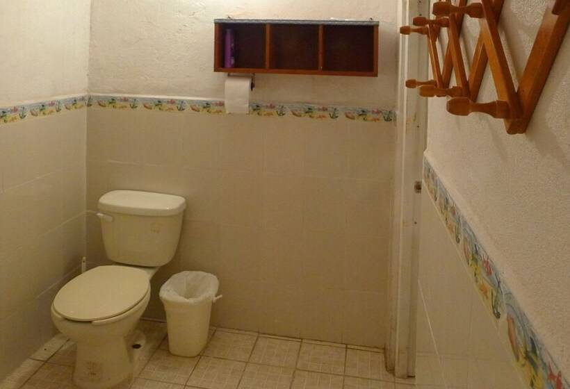 The Octopus S Garden Hostel