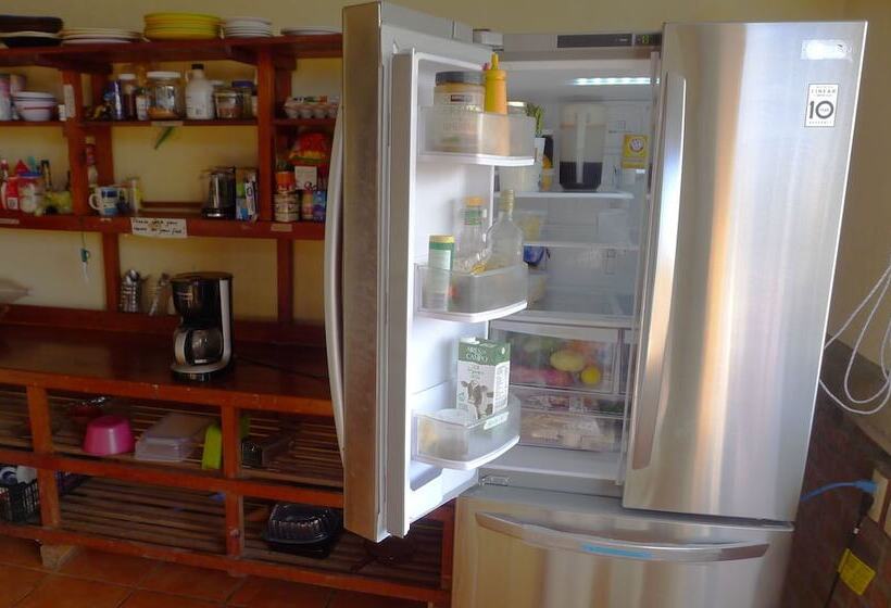 The Octopus S Garden Hostel