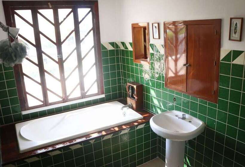 The Octopus S Garden Hostel