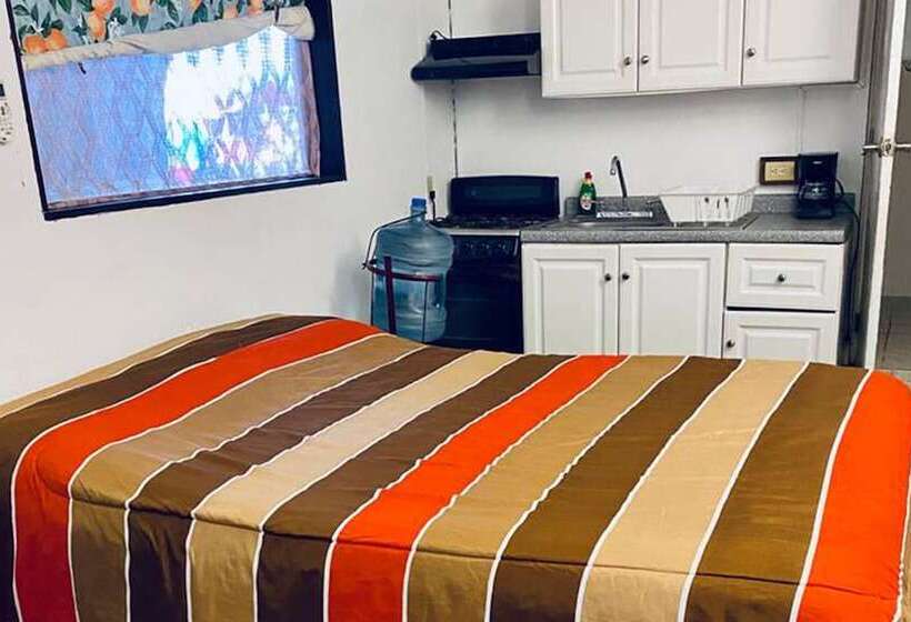 The Octopus S Garden Hostel