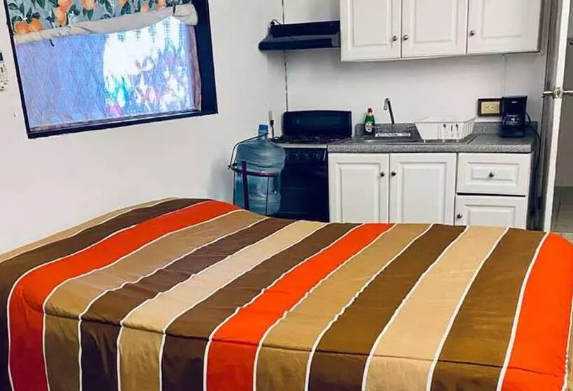 The Octopus S Garden Hostel