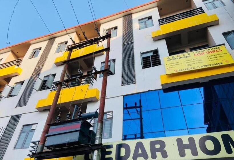 Albergue Abuzz Oxfordcaps Cedar Homes