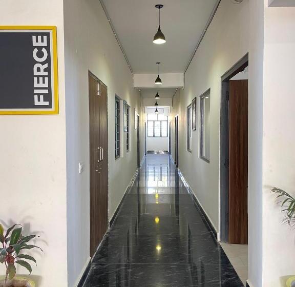 Albergue Abuzz Oxfordcaps Cedar Homes