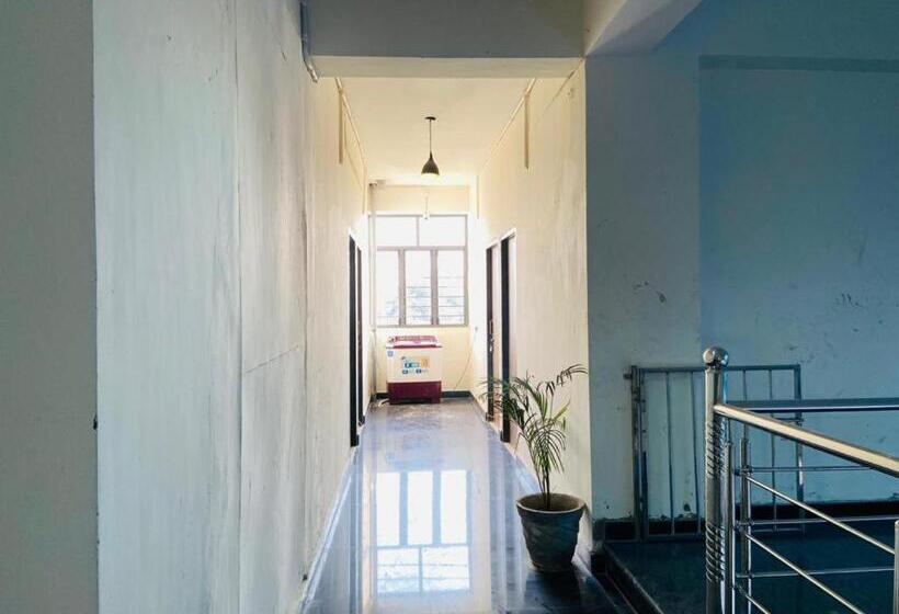 Albergue Abuzz Oxfordcaps Cedar Homes