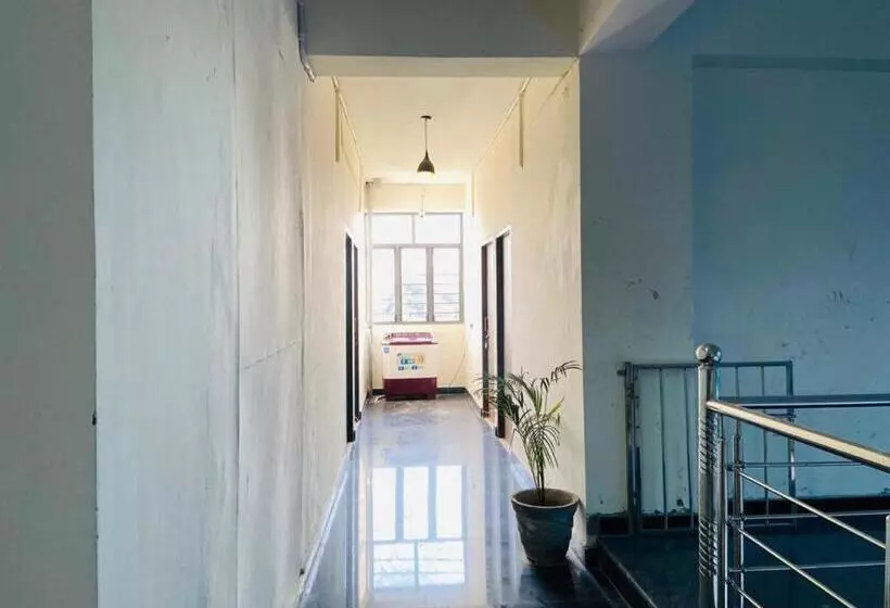 ユースホステル Abuzz Oxfordcaps Cedar Homes