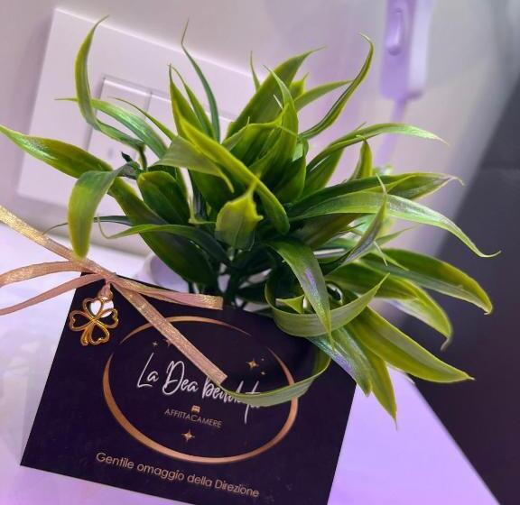 تختخواب و صبحانه La Dea Bendata