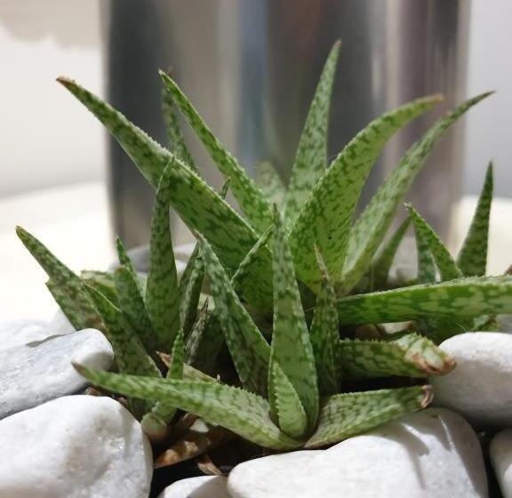 膳宿费 Casa La Moore Self Catering Accomodation