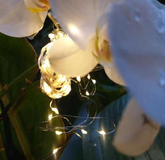 膳宿费 Casa La Moore Self Catering Accomodation