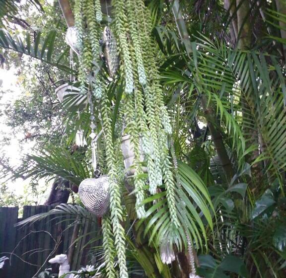 膳宿费 Casa La Moore Self Catering Accomodation