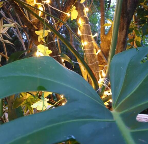 膳宿费 Casa La Moore Self Catering Accomodation