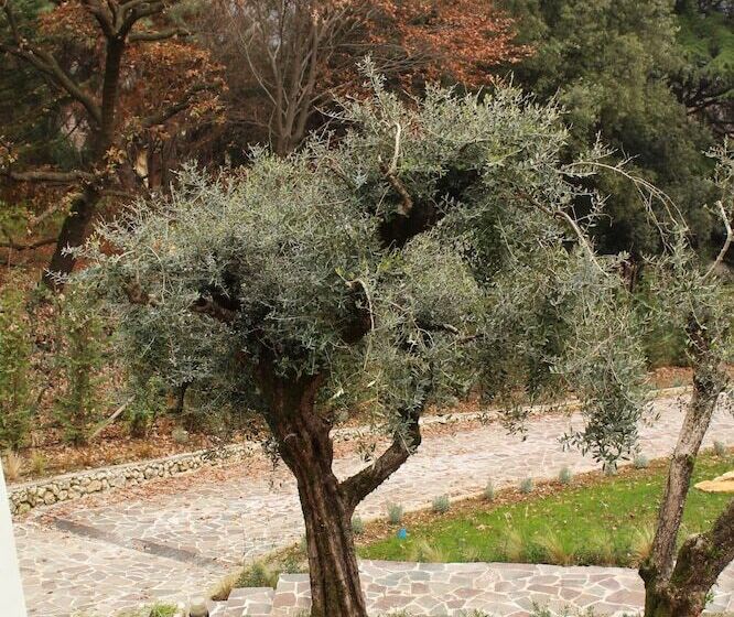 צימר Villa Jasmine