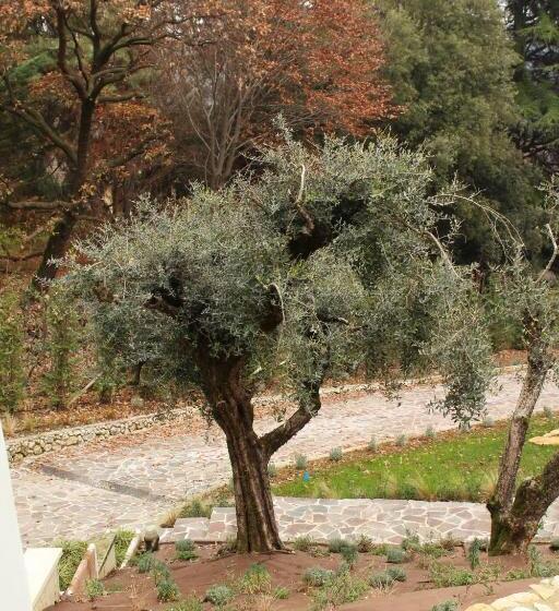 צימר Villa Jasmine