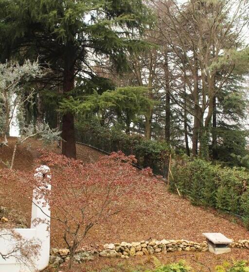 צימר Villa Jasmine