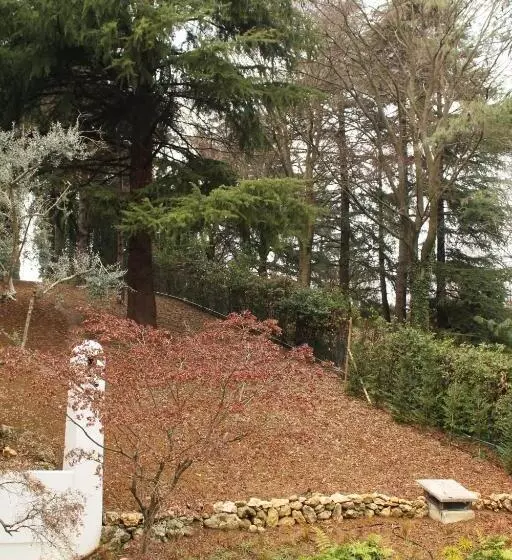 Aamiaismajoitus (B&B) Villa Jasmine